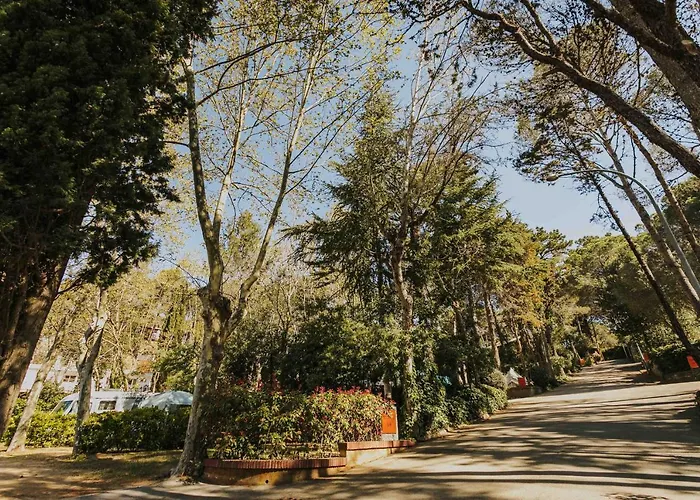 Nice Camps - Lloret De Mar