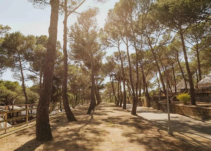 Nice Camps - Lloret De Mar リョレート・デ・マル