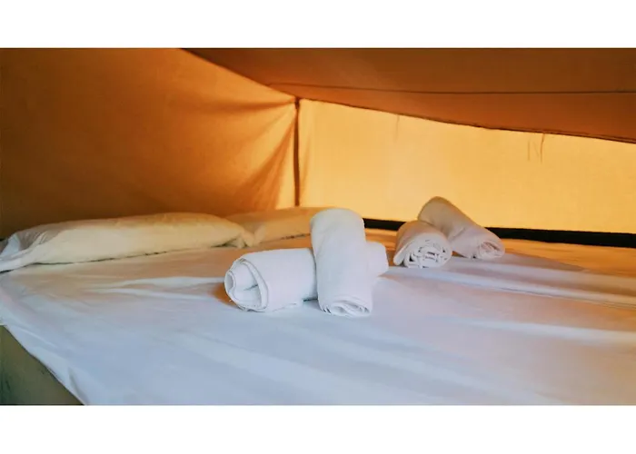 Nice Camps - Lloret De Mar キャンプ場
