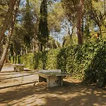 Kamp alanı Camps - *
