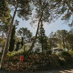 Kamp alanı Camps -