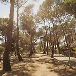 Camps - Lloret de Mar