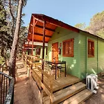 Camps - *