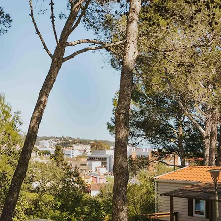 Kamp alanı Santa Elena *