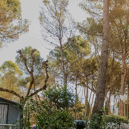 Santa Elena Kamp alanı *