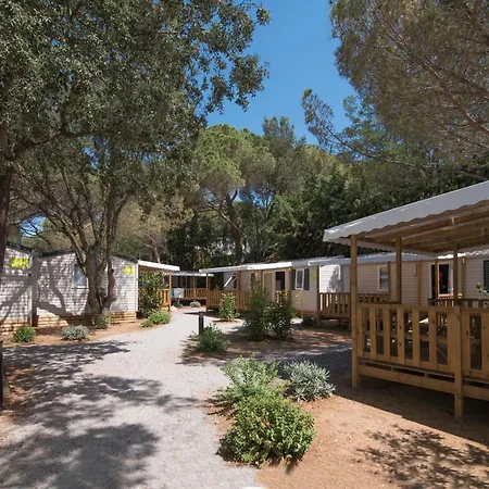 Camps - Lloret de Mar