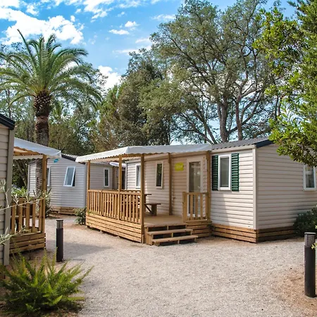 Camps -