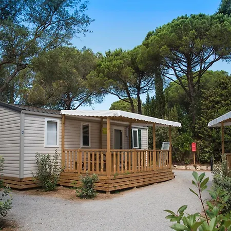 Camps -