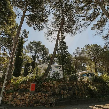 Campeggio Camps -